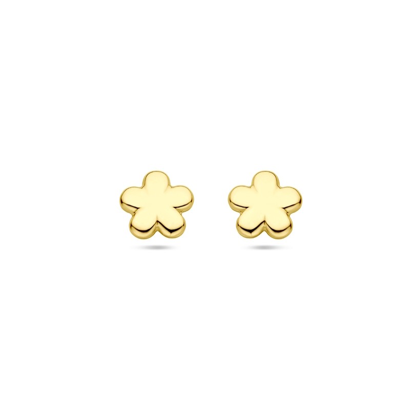 Gouden oorknoppen bloem 5,5 mm Gouden oorknoppen bloem 5,5 mm