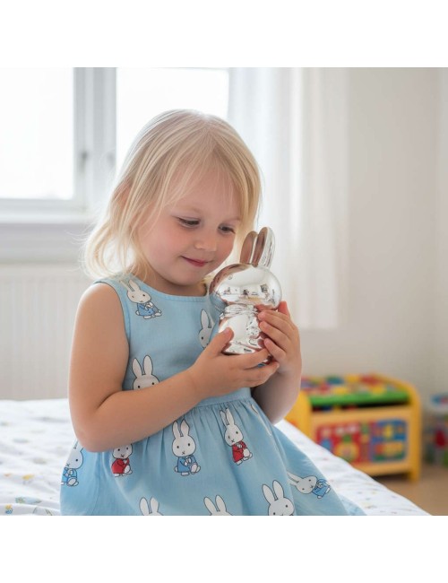 Spaarpot Nijntje Zilverstad - Gratis gegraveerd